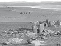 490257823