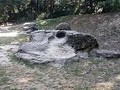 8978000596