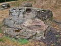 7563948952