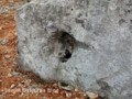 284398022