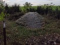 36980328115