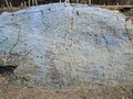 555007812