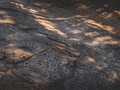 940394982