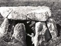 390485222