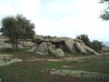 447428739