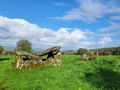 Ballyrenan portal tomb