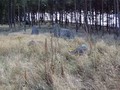 6698658724