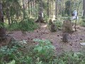 WMechWyg18s