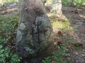 Hg3KG9euRQo