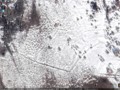 74893209