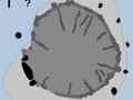 52839402300