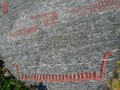 97507232