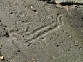 59034858923