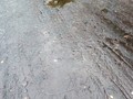 48975902352