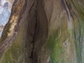 68759237423
