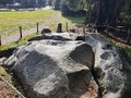 8234989-247823