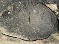 874696034