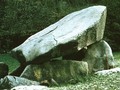 7230490101217