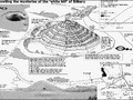 79045643