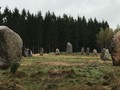 8927353231