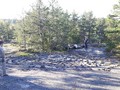 34549820902