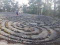 523543297700