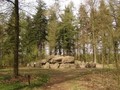 9909459482734