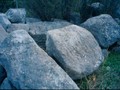 3840523654