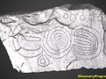 23589498369