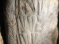 99063490028