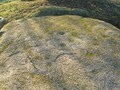 875823742