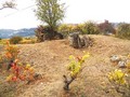 21200976845