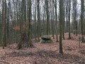 798069897