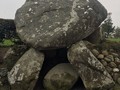 7965784504