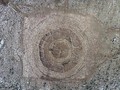 729840232
