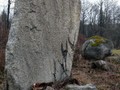 88008050292