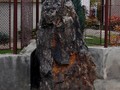 9956987349
