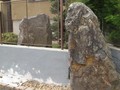 55502-5295323