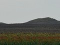 55950011118