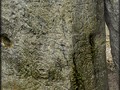 806975093