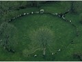7734959203