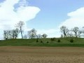 94856773908