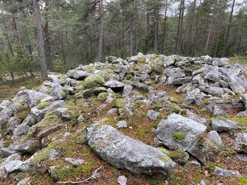 Курганы Пенимяки