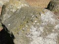 508942908509