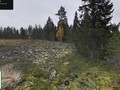 7895039502