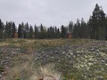 934502-52000