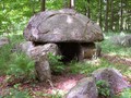 Oreby-Skov