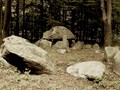 Oreby-Skov-langdysse