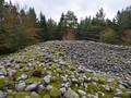 550905058958279