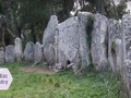 875236477727717